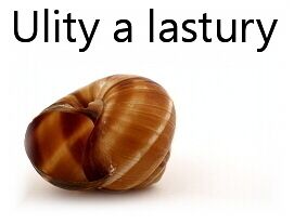 PROJEKT - Ulity a lastury